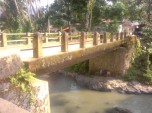 Jambatan Tona