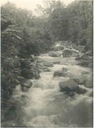 Rivier, vermoedelijk een een zijtak van de Batang Samo tussen Pajakoemboeh en Pangkalankotabaroe (terjemahan: "Sungai, agaknya cabang dari Batang Samo antara Pakoemboeh dan Pangkalankotabaroe").