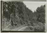 Jalan dari Koto Alam ke Pangkalan Koto Baru tahun 1903 (Sumber: KITLV Belanda)